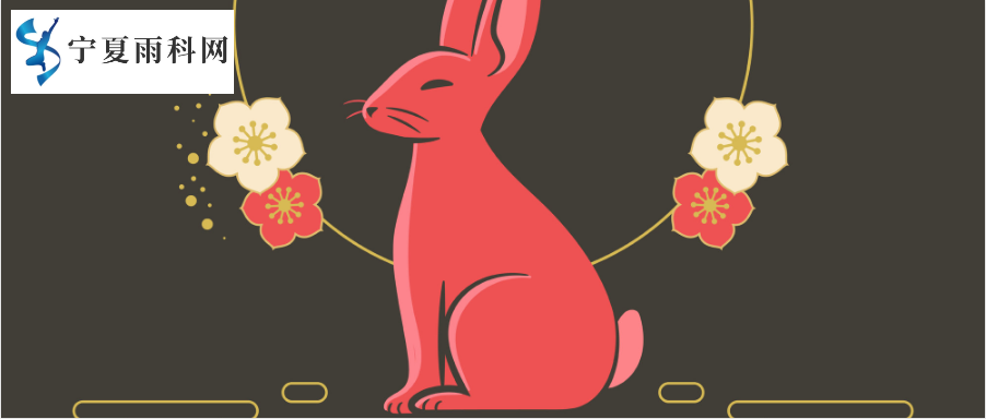 2023兔年春节营销活动方案